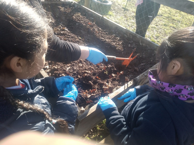 Visita Forjadores Ambientales Invernadero Pailahueque